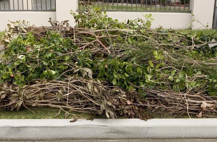 Image of garden waste disposal area with piles of grass clippings, branches, and leaves.